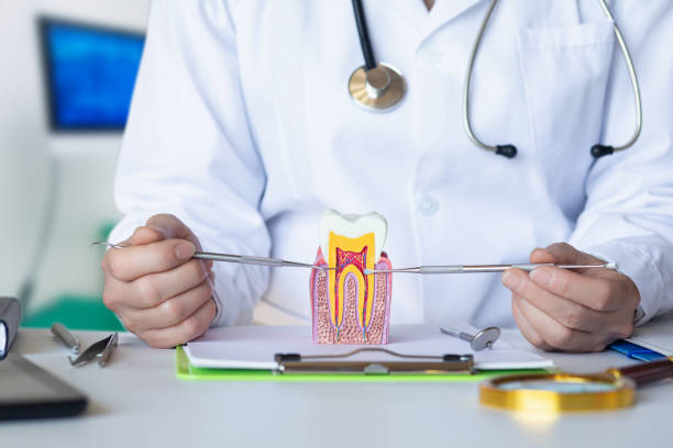 Best 24-Hour Emergency Dental Care in Portland, MI